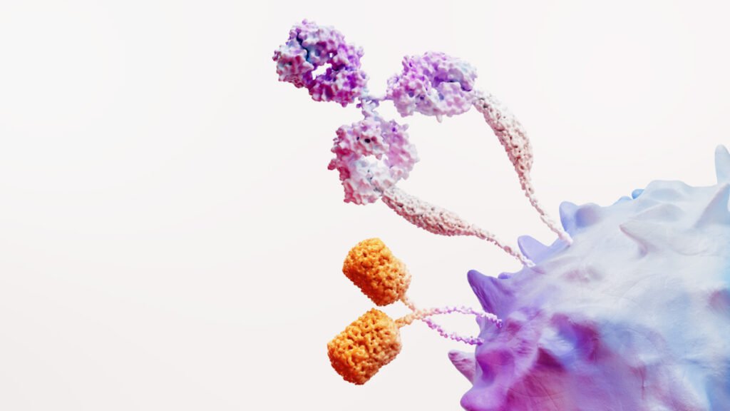 La imagen actual no tiene texto alternativo. El nombre del archivo es: Immuno-oncology-science.jpg